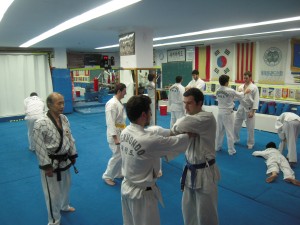 Curs introducció al Taekwondo i a la defensa personal Servei d'Esport de l'UdG ( Universitat de Girona)