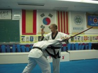 Maestro Lee Jae Kwon, Girona, Artes Marciales