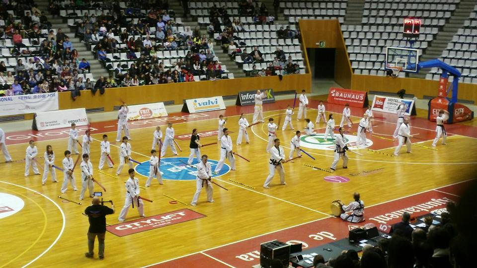 Exhibició de Taekwondo al Pavelló de Fontajau