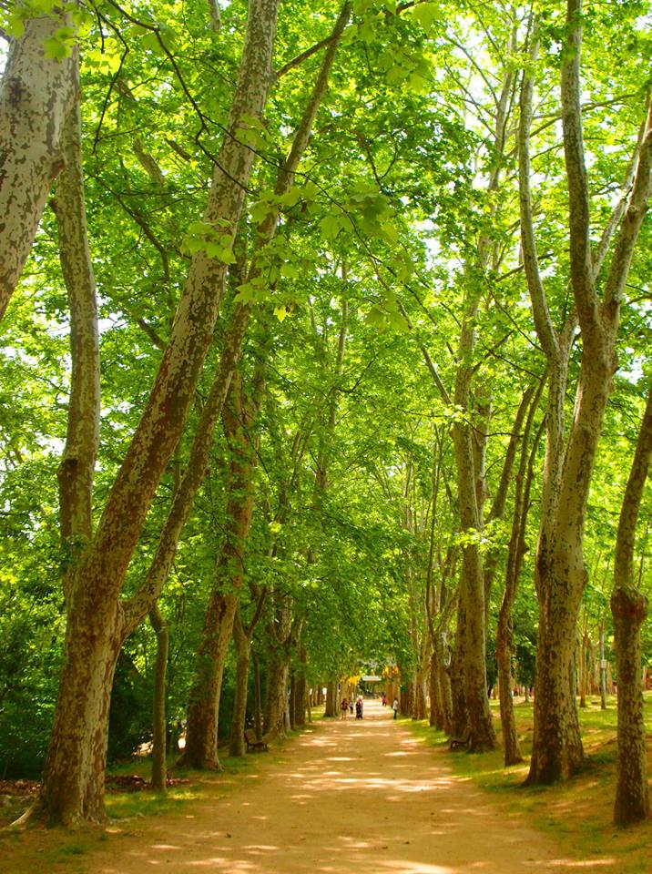 Excursió amb nens a Santa Coloma de Farners