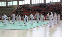 pavelló palau taekwondo