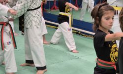 artes marciales niños chois lee girona