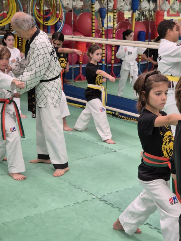 artes marciales niños chois lee girona