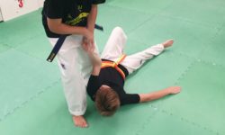 Adolescents del Choi's Lee practicant tècniques defensa personal